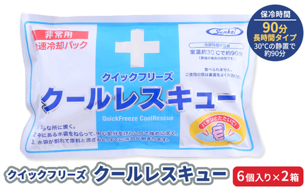 熱中症対策 クールレスキュー 6個入×2箱 冷却パック 熱中症 発熱 応急