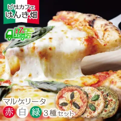 Z24-14 寄附額改定↓↓ げんき畑 ピザ 3枚セット＜赤・白・緑マルゲリータ＞ ピザ