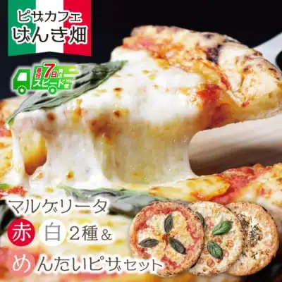 Y24-16 げんき畑 ピザ 3枚セット＜(赤・白)＆めんたいピザ＞ ピザ