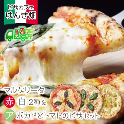 Z24-20 寄附額改定↓↓ げんき畑 ピザ 3枚セット＜(赤・白)＆アボカドとトマトのピザ＞ ピザ
