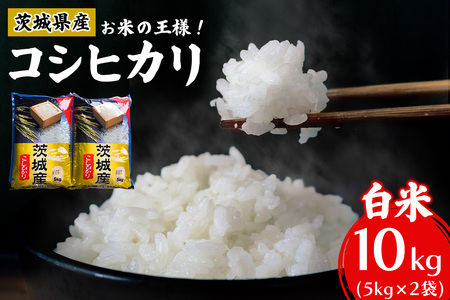 【令和7年産】お米の王様！茨城県産 コシヒカリ 白米 10kg (5kg×2袋) [2100]