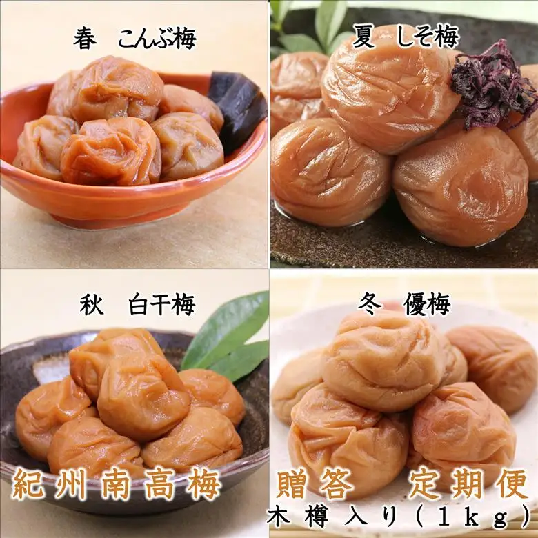 【8023-3】御坊市　紀州南高梅の贈答定期便（春・夏・秋・冬）4回　B