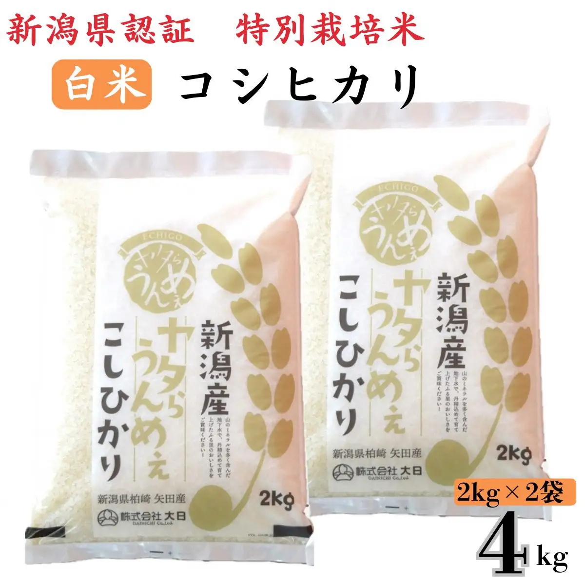 【令和7年産米】コシヒカリ 白米 4kg（2kg×2袋） ヤタらうんめぇ お米 新潟県産 小分け 水田環境鑑定士在籍[Y0198]