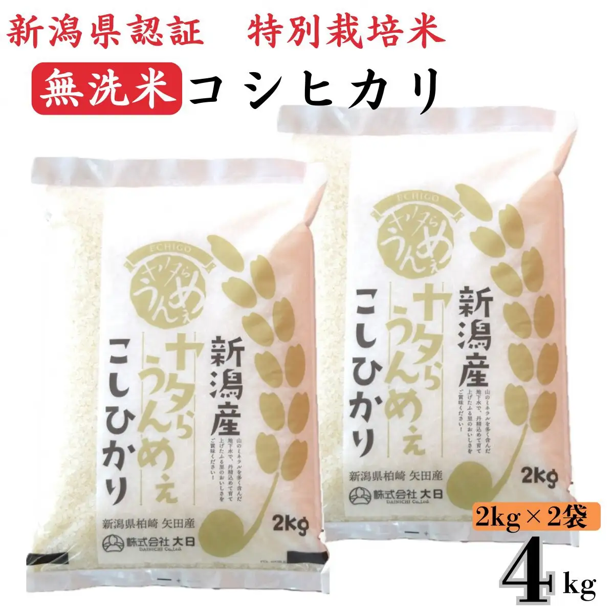 【令和7年産米】コシヒカリ 無洗米 4kg（2kg×2袋）ヤタらうんめぇ お米 新潟県産 小分け 水田環境鑑定士在籍[Y0199]