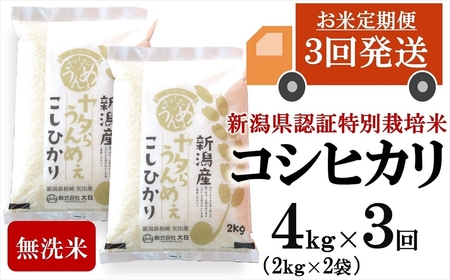 【令和7年産米・3ヶ月定期便】コシヒカリ 無洗米 4kg（2kg×2袋）×3回（計 12kg）ヤタらうんめぇ お米 新潟県産 小分け 水田環境鑑定士在籍[Y0203]