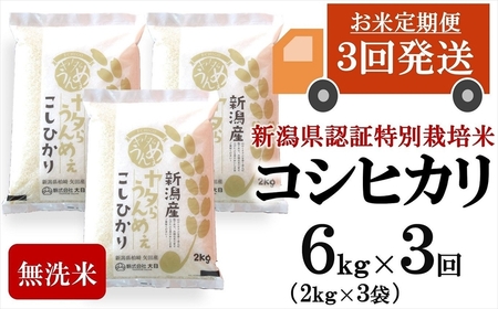 【令和7年産米・3ヶ月定期便】コシヒカリ 無洗米 6kg（2kg×3袋）×3回（計 18kg）ヤタらうんめぇ お米 新潟県産 小分け 水田環境鑑定士在籍[Y0205]
