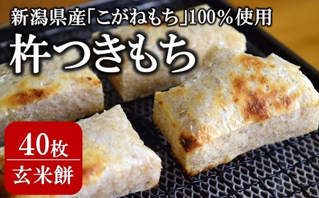 玄米餅 切り餅 430g入×5パック（計 40切）こがねもち100％使用 杵つき餅[Y0444]