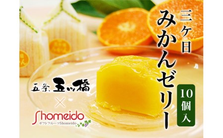 三ヶ日みかんゼリー10個セット【配送不可：北海道・沖縄・離島】 お菓子 ジュレ 