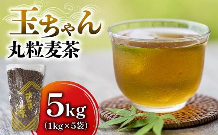 麦茶 玉ちゃん 丸粒麦茶 1kg 入れ 5個