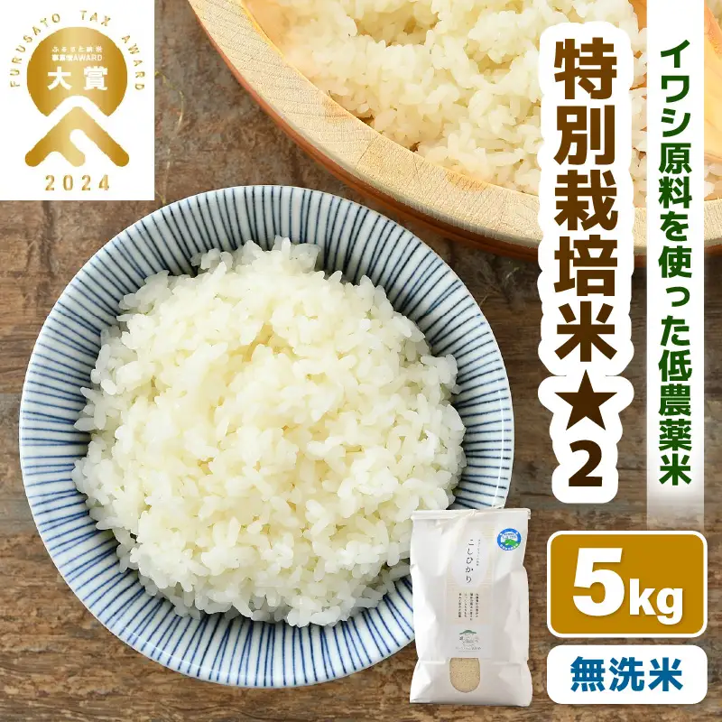 【令和7年産】 特別栽培米 コシヒカリ 無洗米 5kg 低農薬 / 北陸 福井県産 あわら市 ブランド米 白米 お米 コメ 特栽米 [aw056-a025]