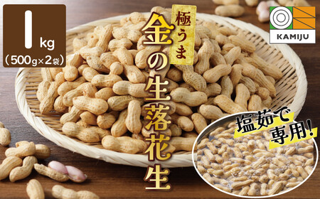 【2026年発送】事前予約 やみつき極うま “金の生落花生” 1kg(500g×2袋) 生ピーナッツ 塩ゆで専用　H105-195