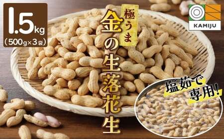 【2026年発送】事前予約 やみつき極うま “金の生落花生” 1.5kg(500g×3袋) 生ピーナッツ 塩ゆで専用　H105-196