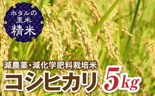令和8年産 新米【ホタルの里米】環境に配慮し農薬を減らした栽培米 コシヒカリ精米5kg 米 お米 おこめ ご飯 ごはん 福島県 西会津町 F4D-2267