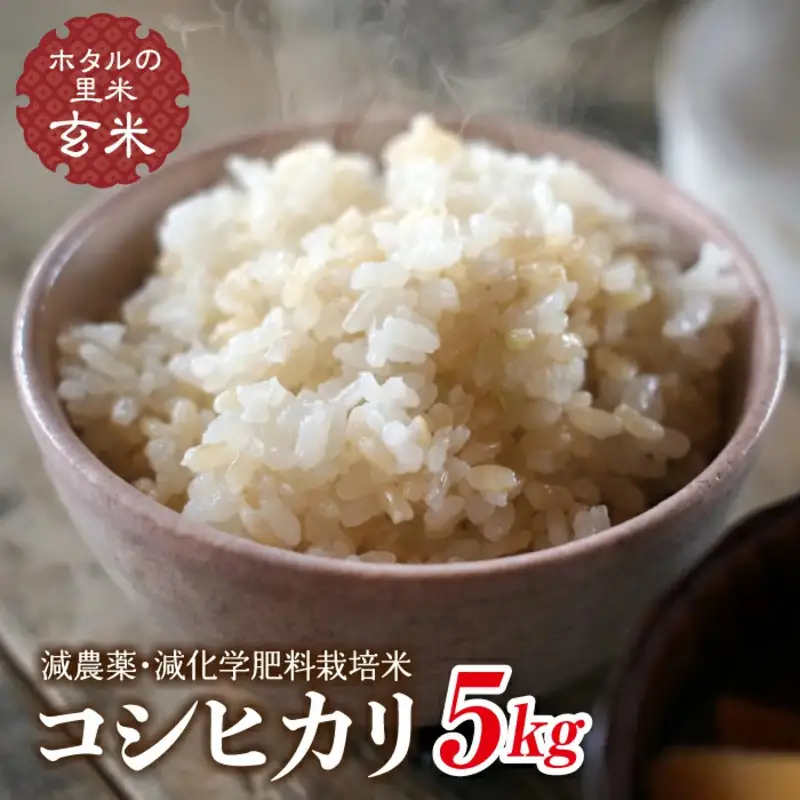 令和8年産 新米【ホタルの里米】環境に配慮し農薬を減らした栽培米 コシヒカリ玄米5kg 米 お米 おこめ ご飯 ごはん 福島県 西会津町 F4D-2279