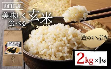 美味しく食べる玄米 2kg 玄米 金のいぶき 定期便 ご当地 グルメ 食品 F6L-1344