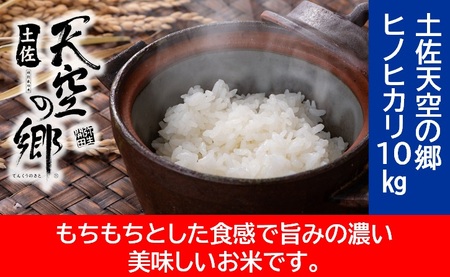 農林水産省の「つなぐ棚田遺産」に選ばれた棚田で育てられた棚田米　土佐天空の郷　ヒノヒカリ　10kg