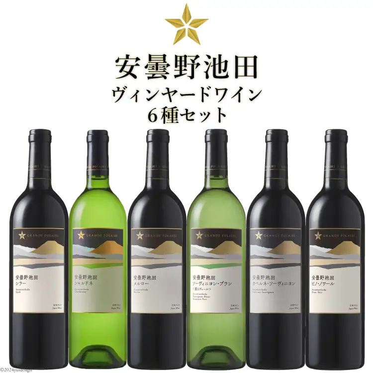 ワイン セット サッポロ グランポレール 安曇野池田ヴィンヤード 6種 各750ml×1本 計6本 飲み比べ [ナチュラルマルシェ ソヨソヨ 長野県 池田町 48110886]