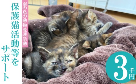 【南の島の動物愛護活動】保護猫活動等をサポート（3千円）- ねこ ネコ 地域猫 保護活動 支援 応援 さくらねこ 動物愛護 保護 里親 寄附のみ 沖縄県 八重瀬町