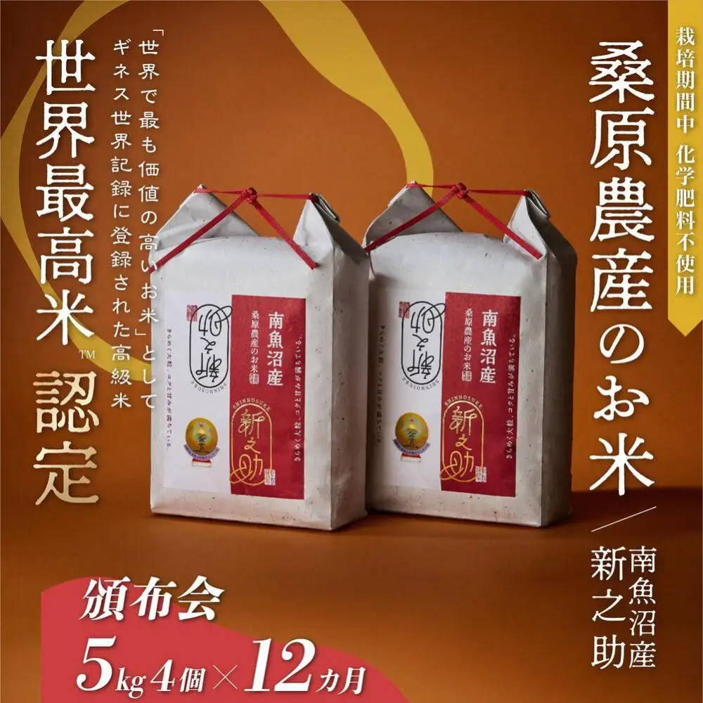 【R7年産】【頒布会】ギネス世界記録「世界最高米」認定 最高級南魚沼産新之助20kg(5kg×4)×12ヵ月 桑原農産のお米(精米)【定期便 銘柄米 ブランド米 精米 新之助 魚沼産 新潟米 産地直送 お米 米 こめ コメ ご飯 御飯 ごはん】
