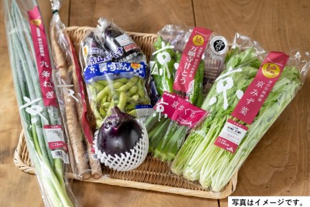 【JA全農京都】季節の京野菜セット