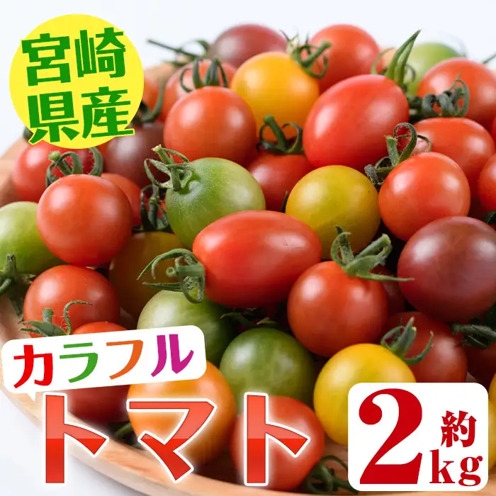 カラフルトマト食べ比べセット(約2kg・9品種の中から4品種以上)国産 宮崎県産 とまと 野菜 サラダ 黄色 オレンジ みどり 紫 アイコ 赤 セレブスイート【KT-2】【K.TFarm】
