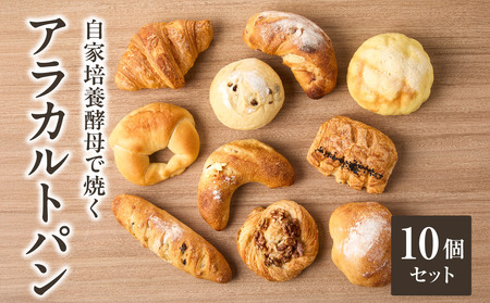  自家培養酵母で焼く店主厳選のアラカルトパン10点セット！酵母 パン 国産小麦 10点 個別包装 京都府 木津川 065-03
