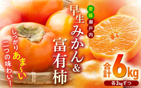 早生みかん＋富有柿（各3kg） 富有柿 みかん【11月上旬より順次発送】[AGBN019]