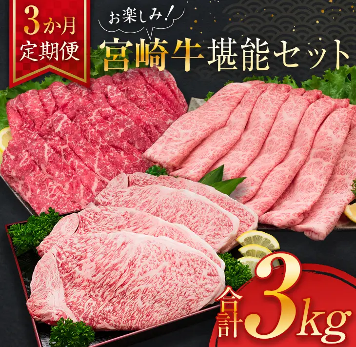 3か月 お楽しみ 定期便 宮崎牛 堪能 セット 合計3kg_L9-25