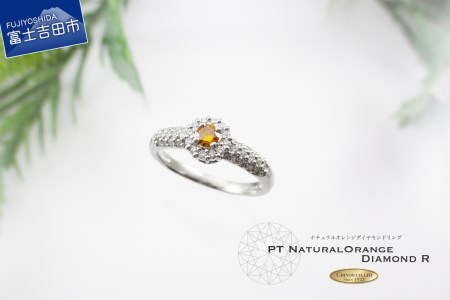 天然ダイヤモンドリング オレンジダイヤモンド リング KT1102   ジュエリー 指輪