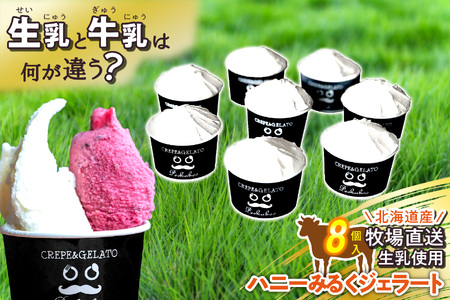 北海道産 生乳 ジェラート アイス ハニー ミルク 8個入り ジェラートセット