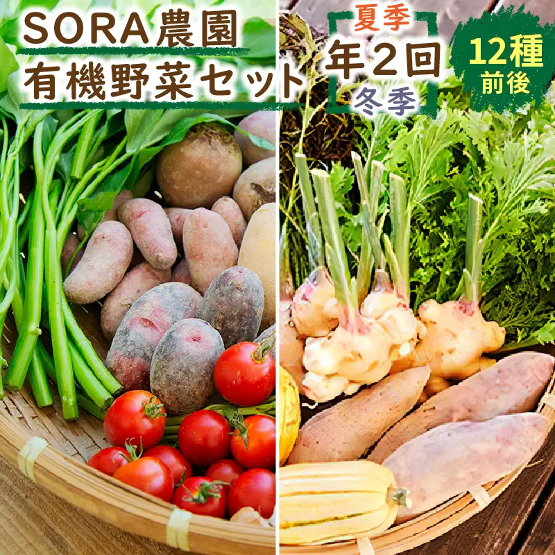 【野菜の定期便】有機野菜セット 夏冬 年２回 | SORA農園