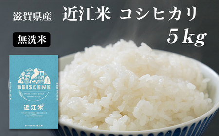 【寄附額見直しました】 特A受賞歴 米 5kg コシヒカリ 無洗米 令和7年産 お米 こしひかり 近江米 こめ コメ