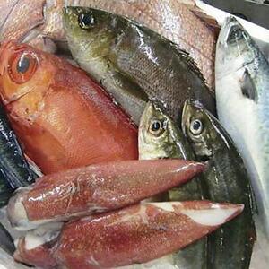 125.鮮魚セット