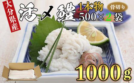 大分県産活じめ鱧（はも）1本物 骨切り切身 たっぷり 1000g ＜108-006＞