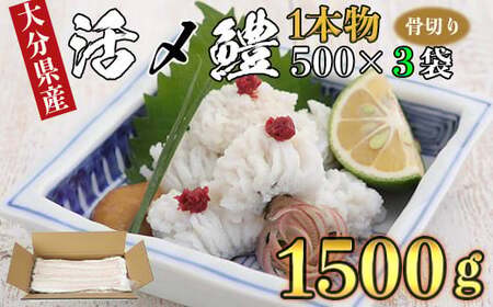 鱧 湯引き 鱧しゃぶ 鱧の天ぷら 1.5kg 骨切り 切身 冷凍 旬 1.5キロ レシピ付 ／ 大分県産活じめ鱧（はも）1本物 たっぷり 1500g ＜108-007＞