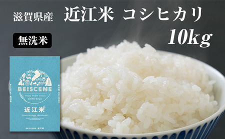 寄附額見直しました】 特A受賞歴 米 10kg コシヒカリ 無洗米 令和7年産