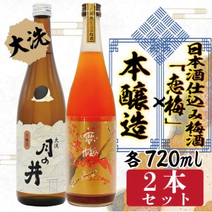 本醸造 720ml 日本酒 仕込み 梅酒 恋梅 720ml 2本 セット 月の井 大洗 地酒 国産梅 日本酒 茨城_AW036