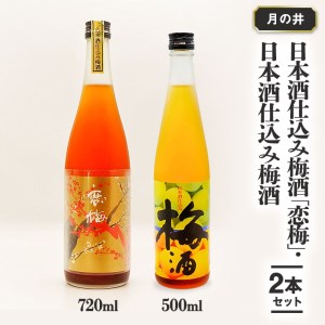 日本酒 仕込み 梅酒 恋梅720ml 梅酒 500ml 2本 セット 月の井 大洗 地酒 国産梅 飲み比べ 茨城_AW043