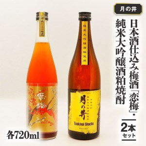 日本酒 仕込 梅酒 恋梅720ml 純米大吟醸 酒粕 焼酎 720ml 2本 セット 酒粕焼酎 国産梅 月の井 大洗 地酒 茨城_AW045