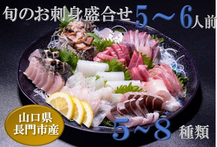 (1316)刺身 刺身盛り合わせ 「旬のお刺身盛り合わせ」 仙崎 地魚 5～6人前 冷蔵 新鮮 配達不可エリア有り 新潟 東北 北海道 沖縄 配達不可 配送日時指定可能 