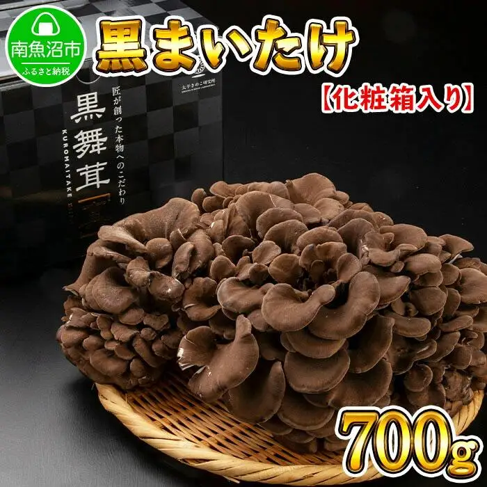 新潟県 南魚沼産 厳選 国産 黒 高級 舞茸 産地直送 700g