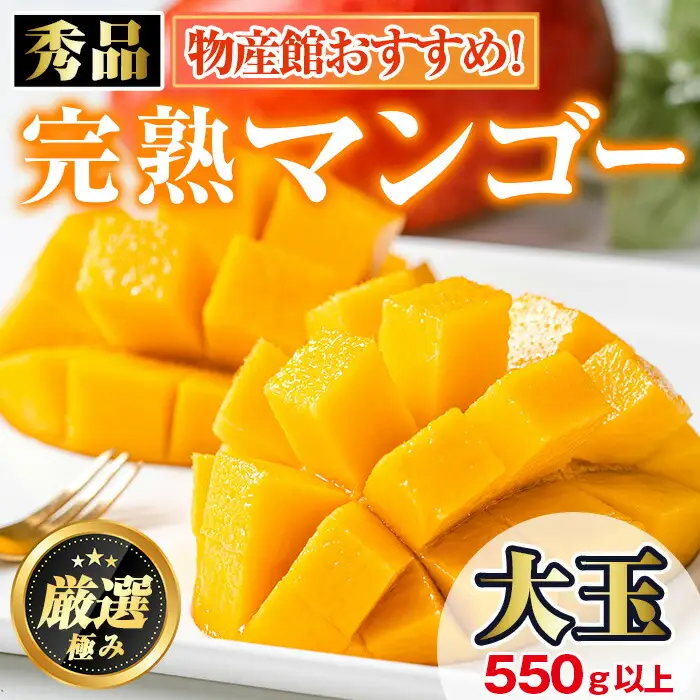 【0145912a】＜秀品・数量限定！先行予約＞南国鹿児島県産の太陽の恵み！完熟マンゴー(大玉1個・550g以上) 果物 フルーツ 果実 デザート 国産 冷蔵 【東串良物産館ルピノンの里】