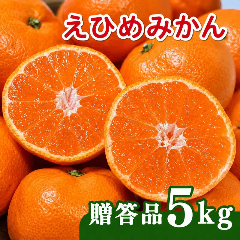 【先行予約】贈答品 愛媛みかん 5kg 傷み補償 250g 清家ばんかんビレッジ