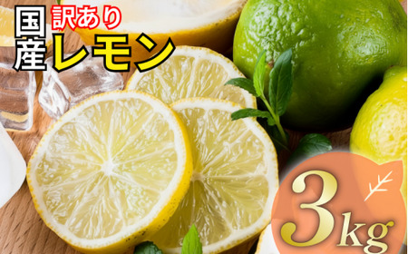 【レモン】 3kg レモン 清家ばんかんビレッジ