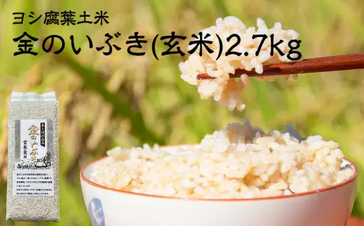 令和7年産 玄米 宮城県産 ヨシ腐葉土米 金のいぶき 2.7kg(900g×3) 真空パック 小分け 宮城県 石巻市