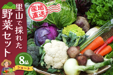 里山で採れた野菜セットショート 8品 (H078101)