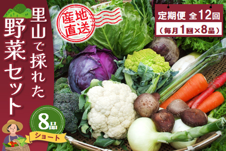 年間定期便12回 里山で採れた野菜セットショート 8品 (H078137)