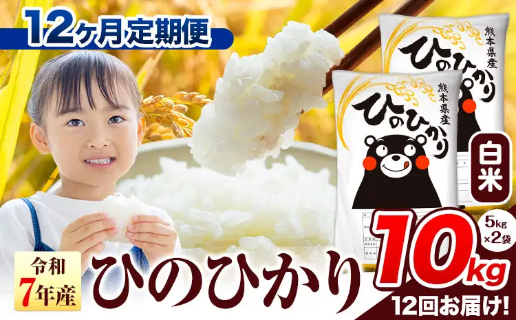 R7年産 白米【12ヶ月定期便】ひのひかり 10kg