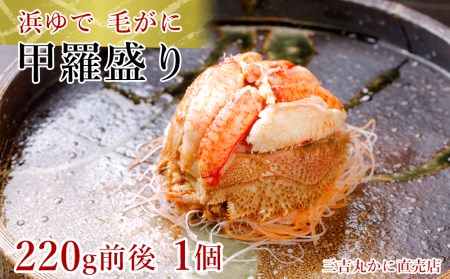 【浜ゆで】北海道産毛ガニ甲羅盛り1個（220g前後1個） AS190