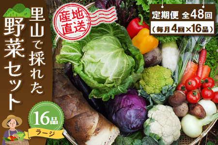 年間定期便48回 里山で採れた野菜セットラージ 16品 (H078112)